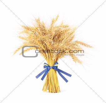Wheat with bow