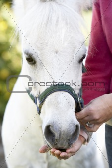 Woman Feeding Pony