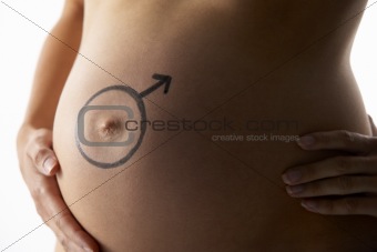 Detail Of Pregnant Woman With Female Symbol On Stomach