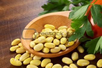 Raw Canary Beans