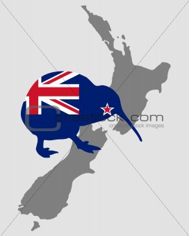 New Zealands kiwi