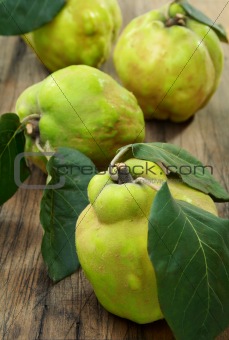 Ripe quince is on the table.