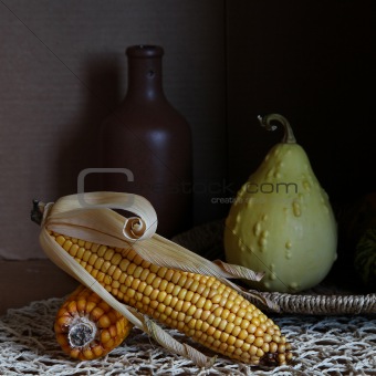  Still life with Indian corn.