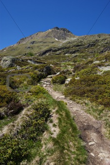 summer view of a mountain path