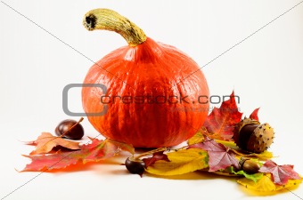 Pumpkin and leaves isolated