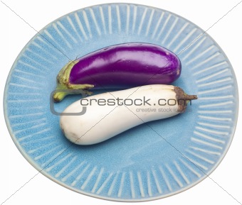 White and Purple Eggplant Varieties