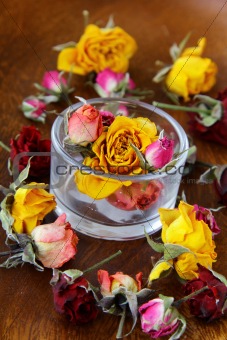Dried rose hipson a wooden  table