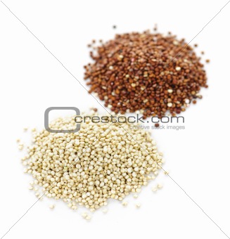 White and red quinoa grains closeup
