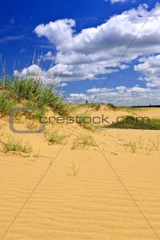 Desert landscape in Manitoba, Canada