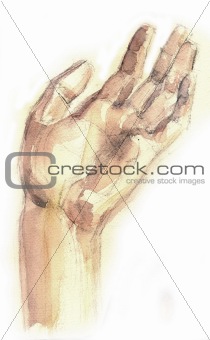 a raster picture of human part of body is a hand