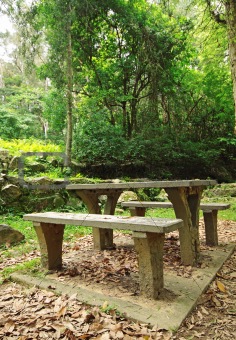 Picnic place in forest 