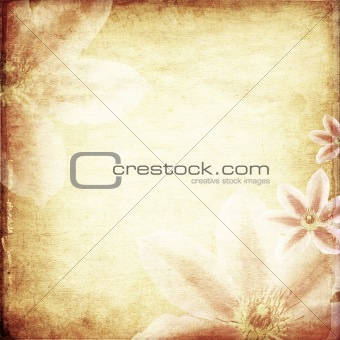 Old papers background with flowers 