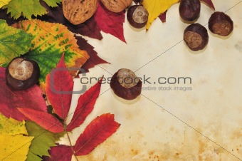 Autumnal background