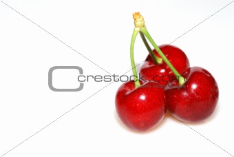three red cherries