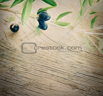Olive branch on wooden background