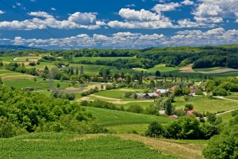Beautiful green scenery landscape in spring time
