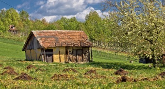 Springtime view on old traditional cottage