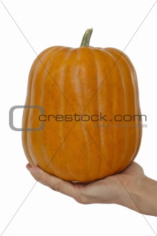 Pumpkin in palm