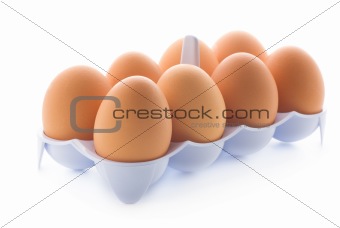 eggs in the tray, isolated