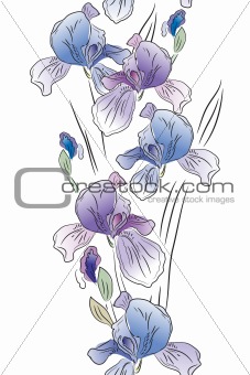 Seamless vertical border with blue irises