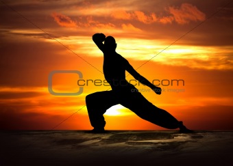 Martial Arts Fitness at Sunset