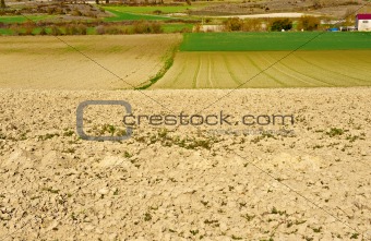 Plowed Field