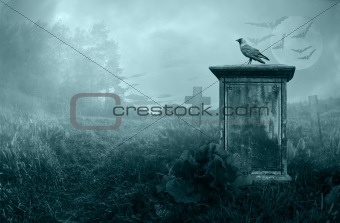 Crow on a gravestone