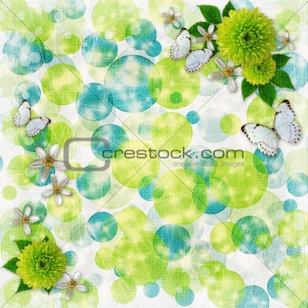 Green and blue bokeh background with decorative frames, butterfl