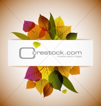 Autumn leafs abstract background 