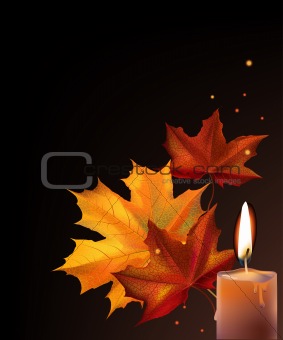 Leafs and candle