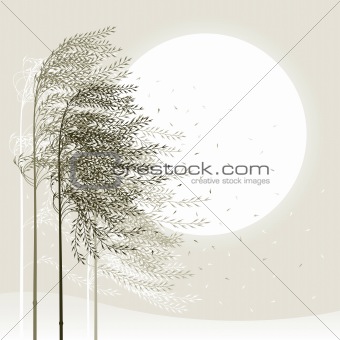 Winter reed background