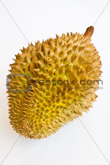 Single whole durian isolated on white background