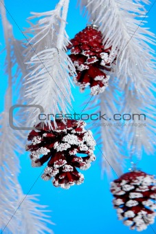 Christmas Pine cones