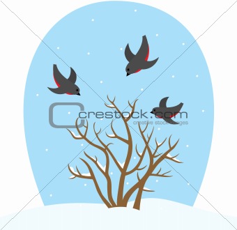 Winter landscape with three birds