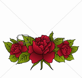 beautiful red roses isolated