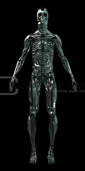 Cyborg Human Skeleton Android