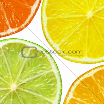 Lime, grapefruit, orange and lime slices isolated on white