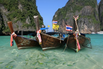 Longtail boats in purple water with fish at Maya Bay