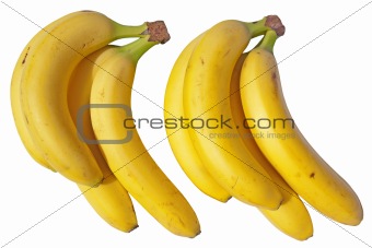 Two bunches of bananas isolated on a white background.