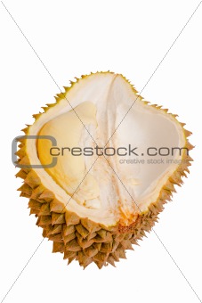 Close up of peeled durian isolated on white background.