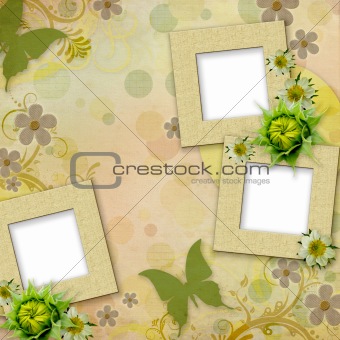 Summer frames with green butterfly, flowers 