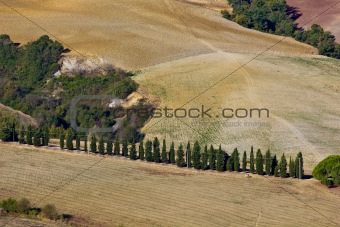 Tuscan landscape.