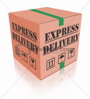 express delivery carboard box package