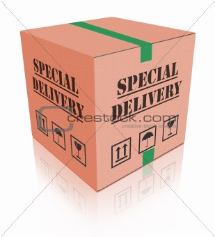 special delivery carboard box package