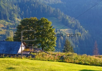 Summer mountain hamlet landscape