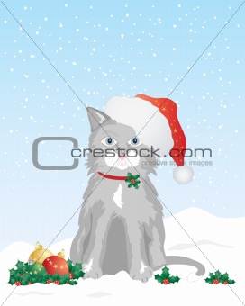 kitten in a santa hat