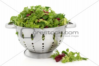 Lettuce Salad Leaves