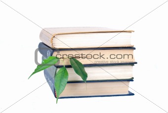 Book and tree isolated on white background