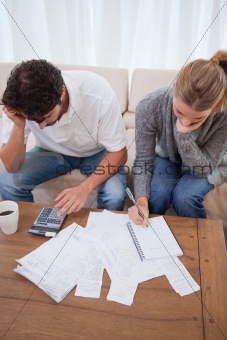 Portrait of a couple doing their accounting