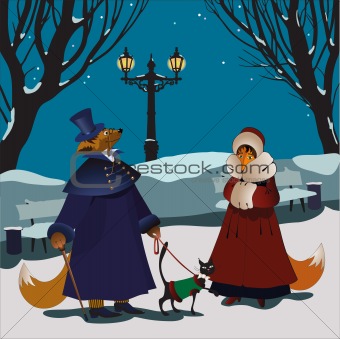 Foxes winter